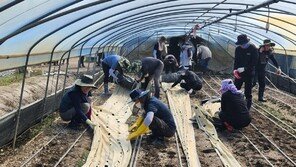 농어촌공사, 임직원 동참 ‘수해 복구’ 지원나서