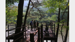 “속리산서 땅 울리는 소리 난다”…산사태 징후에 탐방로 통제 