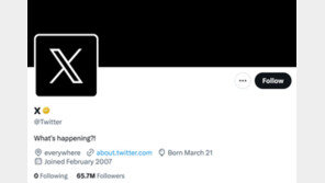 머스크 “트위터, 금융 거래 기능 추가할 것…새는 필요 없어”