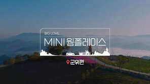 돌담길 지나 당숲나무까지… 군위에서의 ‘힐링 여행’ 