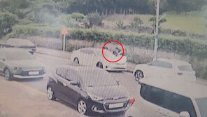 당근 거래하는 척…대낮에 납치극 벌인 일당 구속 “돈 안갚아서” (영상)