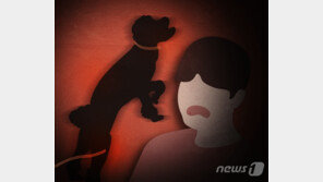 사람 물어 상처 낸 반려견 주인…과실치상 혐의로 검찰 송치