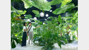 현대미술과 자연의 색다른 만남 