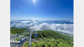 케이블카가 지역관광 해결사? 경남 지자체 너도나도 설치 추진 