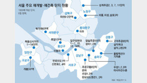 [사설]낚시성 재개발·건축 계획 난무… 탐욕과 편법의 경연장