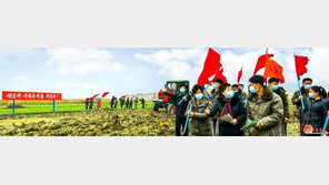 북한, 상반기 중국서 쌀 12만톤 수입… “사상 최대치”