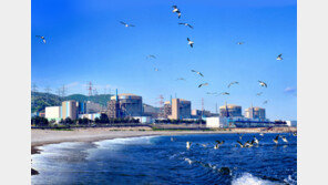 월성원전 3호기 계획예방정비 위해 정지…9월17일 발전 재개