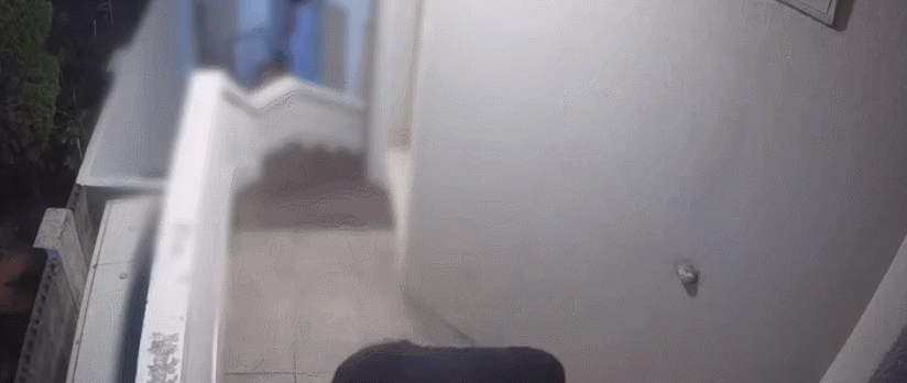 남의 가게 앞 오렌지 ‘툭’…“남자는 훔치고 여자는 사진 촬영” (영상)