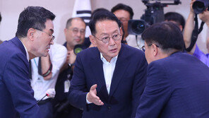 법사위, 현수막 설치 금지 기간 단축 등 공직선거법 개정안 보류