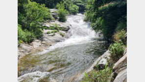 대구 계곡서 물놀이 대학생 3명, 소용돌이 휩쓸려 숨져