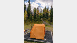 “세상이 두렵다” 산속으로 간 美일가족 3명 1년만에 숨진채 발견