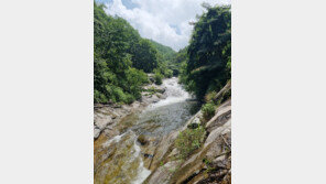 대구 계곡서 대학생 3명 물에 빠져 숨져…물놀이 금지구역