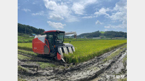 한여름에 벼 수확… 초조생종 ‘빠르미’ 수해 농가에 효자 노릇
