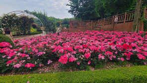부천 시민이 사랑한 ‘八色’ 매력