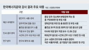 “교직원, 연구비 유용-수당 부당 수령”… 산업부, 한전공대 총장 해임 건의 