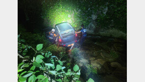 한밤 술 취해 운전대 잡았다가 2m 아래 도랑 추락… 60대 2명 다쳐