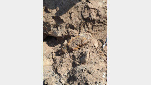 춘천 삼천동 도로공사 현장서 폭발물 발견…군 당국에 인계