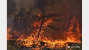 2주째 이어지는 그리스 산불… 폭염과 건조한 날씨 여파