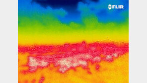 연일 이어진 폭염… 하루에만 온열 질환 사망자 7명 