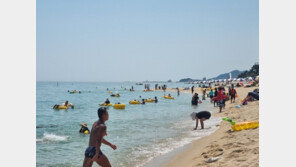 ‘7말8초’ 피서철 성수기 절정…동해안 누적 피서객 200만명 돌파할 듯