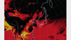 밀린 밭일 나섰다가…온열질환 사망, 주말에만 11명