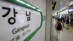 장난→강남, 량차이→양재…中발음 역이름, 우리말로 바꾼다