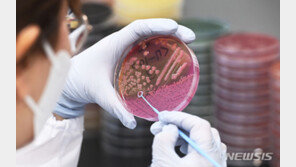 ‘찜통’ 폭염에 식중독 비상…“2시간이면 100만마리 증식”