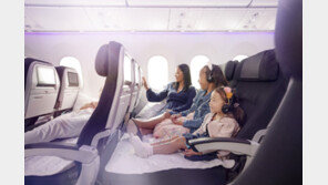 에어뉴질랜드 스카이파우치 프로모션