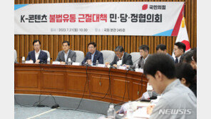 당정 “제2의 누누티비 막아야…인터폴 등 국제 공조 강화”