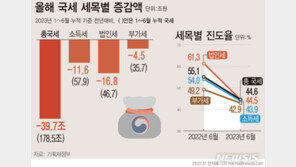 1~6월 국세 40조원 가까이 덜 걷혀…세수진도율 2000년來 최저