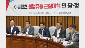 콘텐츠 불법유통 징벌적 손배 도입…신고포상제 검토