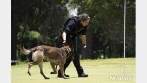 33도 폭염 속 에어컨 고장…美 경찰견들 떼죽음