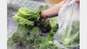 채솟값 치솟는데 곡물가도 들썩…물가 진정세에 잇단 악재