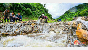 北, 폭염과 태풍에 경각심…“만단의 대책 세워야”