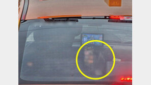 앞서가던 택시 급정거…자세히 보니 ‘성인물 삼매경’