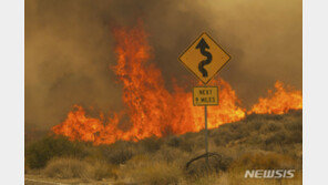서울 면적 절반가량 태운 美 ‘요크산불’… 강풍 타고 네바다주로