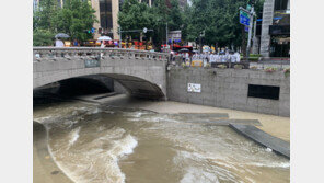 청계천서 물고기 수백마리 집단 폐사…“오수 유입 추정”