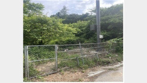 제천서 아프리카돼지열병 감염 맷돼지 발견…북부지역 집중