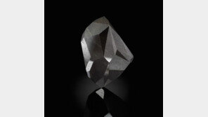 52억원 블랙 다이아몬드 구매한 큰 손…알고보니 코인 사기범