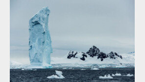 “얼음이 사라졌다”…남극 해빙 규모 역대 최저치 기록