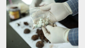 부산세관, 美 공조로 7개월간 마약 7kg 적발…관련자 검거