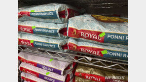 쌀 수출 중단한 인도…전 세계 식량 위기 오나?