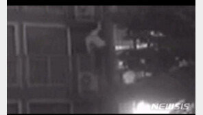 불꺼진 아파트 3층 골라 귀금속 2천만원 어치 턴 40대 구속