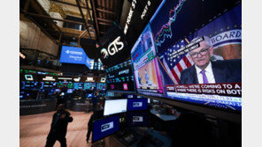 피치 美 신용등급 강등에…“시장 영향 제한적” VS “로마도 하루에 안 무너져”