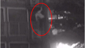 ‘스파이더맨인 줄’…맨손으로 베란다 타고 아파트 3층 오른 절도범