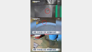 병원 식당 점령한 ‘바퀴벌레’…도마·식기·음식 소쿠리까지 ‘득실득실’