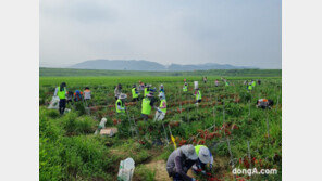 농협, 청양 등 특별재난지역 찾아 수해복구 작업 실시