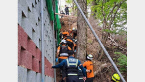 벌 피하려다…도로공사장 작업자, 15m 아래로 추락해 숨져
