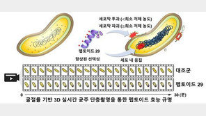 KBSI-GIST, 슈퍼박테리아 잡는 강력한 항생제 약물 발굴