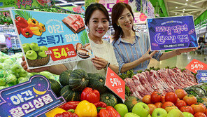 “야간쇼핑 고객에 초특가 할인”